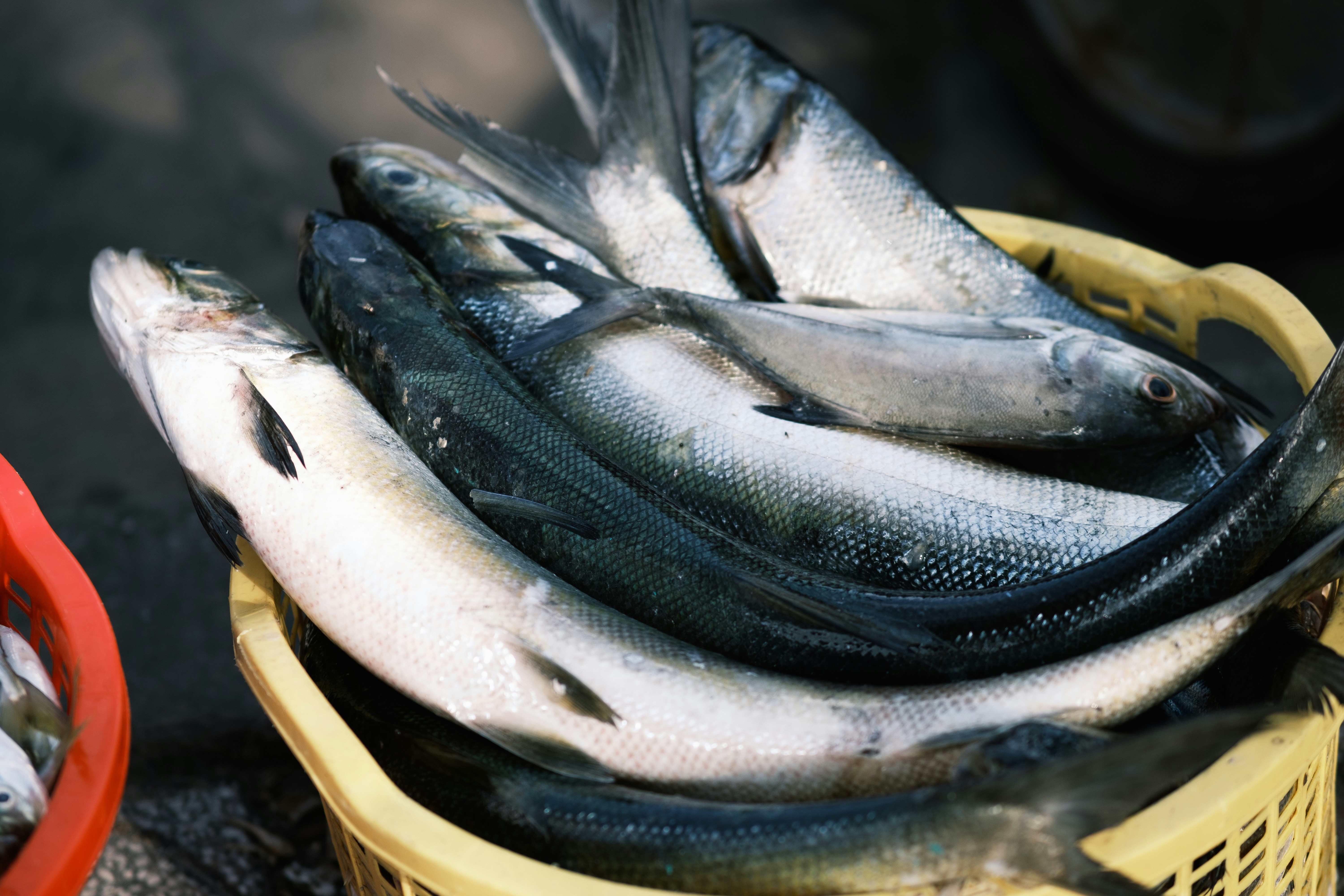Kalkfelsen mit spärlicher Vegetation und einzelnen Bäumen unter blauem Himmel.
