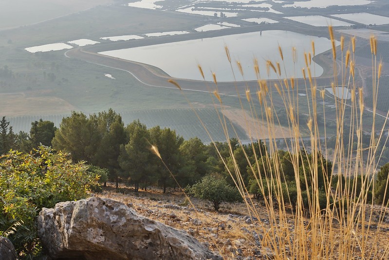 Der grüne Norden Israels