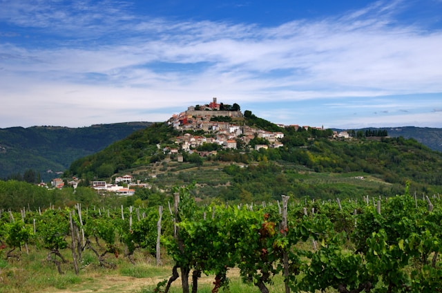 Hügelstadt mit roten Dächern und Turm, umgeben von Weinreben und bewaldeter Landschaft unter blauem Himmel.