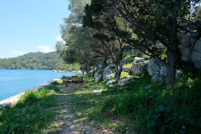 Schattiger Uferweg mit Bäumen und Felsen, angrenzend an ruhiges, blaues Meer.